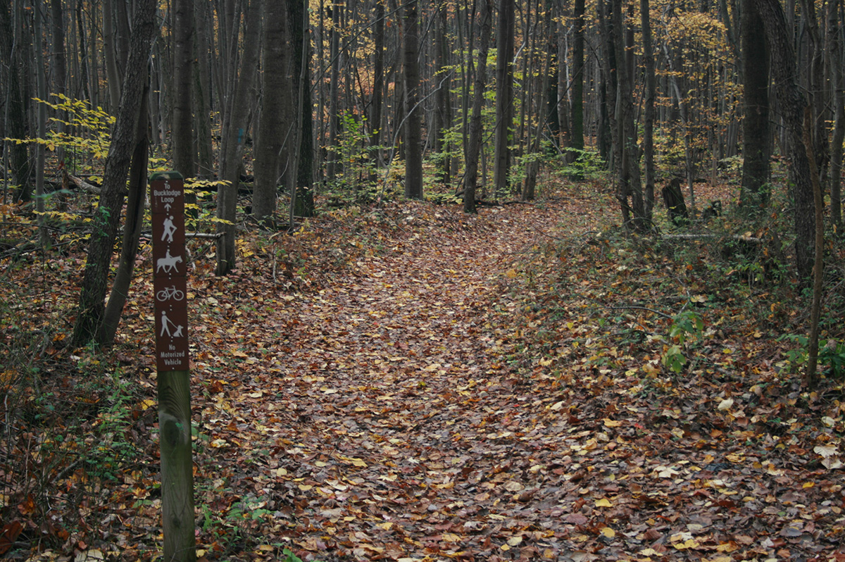 bucklodge conservation pakr